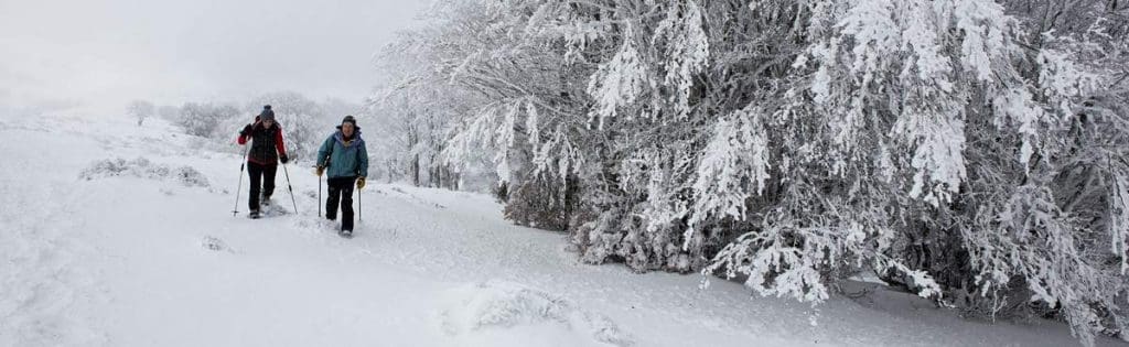 Comment trouver une location hivernale ?